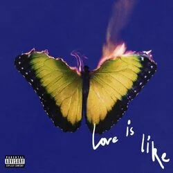 My Love Chords by Maroon 5