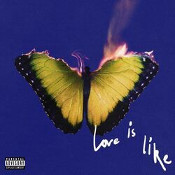 I Like It Chords by Maroon 5