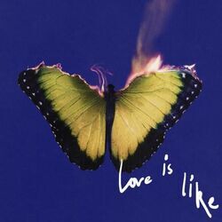 Love Is Like Chords by Maroon 5