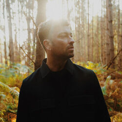 Wald by Marteria