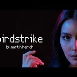 Birdstrike Chords by Martin Harich