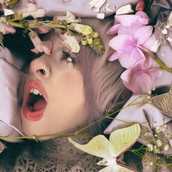 Possession by Melanie Martinez