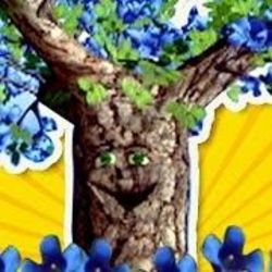Canción Del Jacaranda Chords by María Elena Walsh