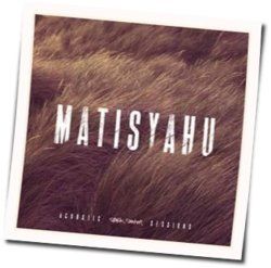 Live Like A Warrior Acoustic Chords by Matisyahu