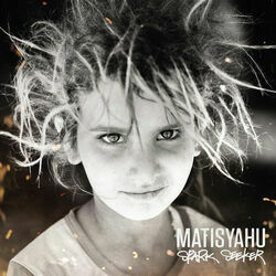 Warrior by Matisyahu