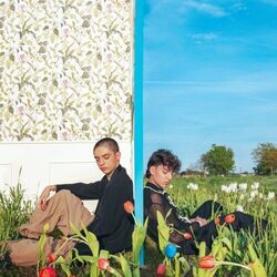 Tulipani Blu Chords by Matteo Romano
