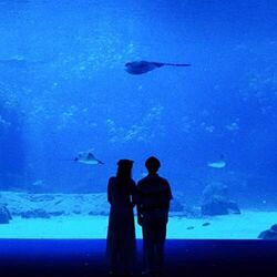 Sometimes Intro by Mattyeux