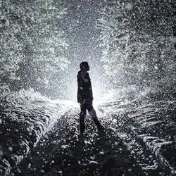 Willfully Blind Chords by Max McNown