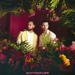 Butterflies by MAX