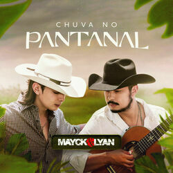 Chuva No Pantanal by Mayck E Lyan