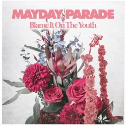 Blame It On The Youth by Mayday Parade