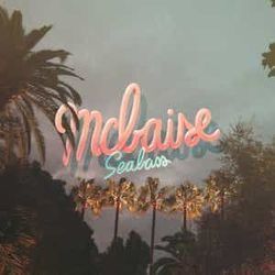 She's A Big Boy Bass Tab by Mcbaise