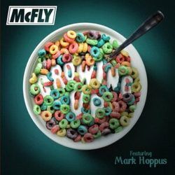 Growing Up Chords by McFly