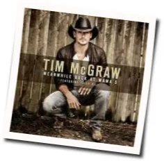 Meanwhile Back At Mamas Tab by Tim Mcgraw