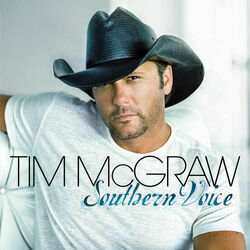 Southern Voice by Tim Mcgraw