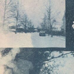 Magnolia Chords by Meadowglade