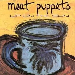 Hot Pink Bass Tab by Meat Puppets
