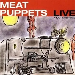 Take Off Your Clothes Tab by Meat Puppets