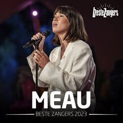 Wat Ik Zocht Chords by MEAU