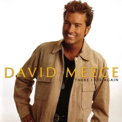 I Can See by David Meece