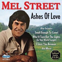 Your Love Will Be Enough Chords by Mel Street