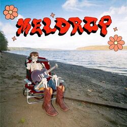 Meldrop tabs for Goodman