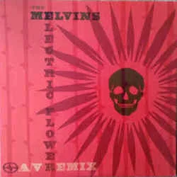 Electric Flower Tab by Melvins
