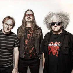 It's Shoved Bass Tab by Melvins