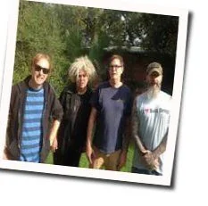 Roadbull Bass Tab by Melvins