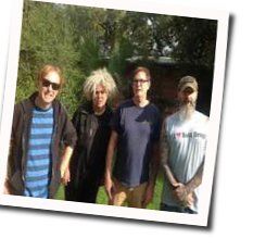Roadbull Tabs by Melvins