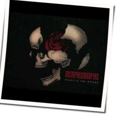 Heavy Is The Weight Chords by Memphis May Fire