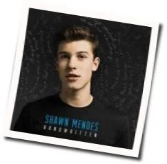 A Little Too Much Chords by Shawn Mendes