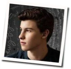 Act Like You Love Me Chords by Shawn Mendes