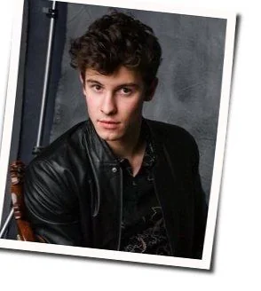 Because I Had You Chords by Shawn Mendes