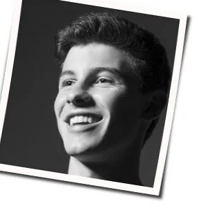 Crazy Tab by Shawn Mendes