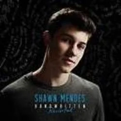 Don't Want Your Love Chords by Shawn Mendes