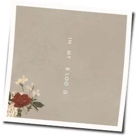 In My Blood Acoustic Intro Tab by Shawn Mendes