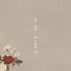 In My Blood (Ver2) Tab by Shawn Mendes