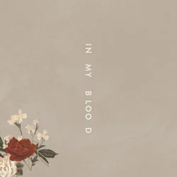 In My Blood Chords by Shawn Mendes