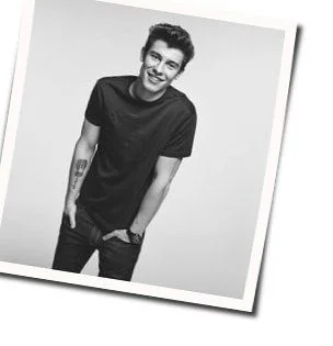Particular Taste Chords by Shawn Mendes