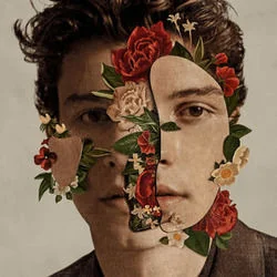 Perfectly Wrong Ukulele Chords by Shawn Mendes