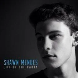 Show You Chords by Shawn Mendes