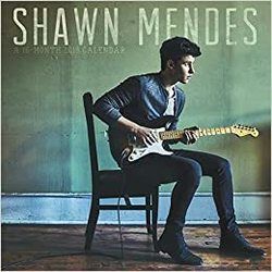Dream  Chords by Shawn Mendes