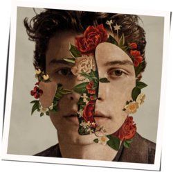Fallin All In You Ukulele Chords by Shawn Mendes