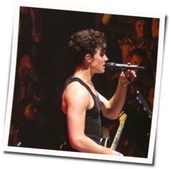 Fix You In My Blood Chords by Shawn Mendes