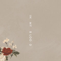 In My Blood by Shawn Mendes