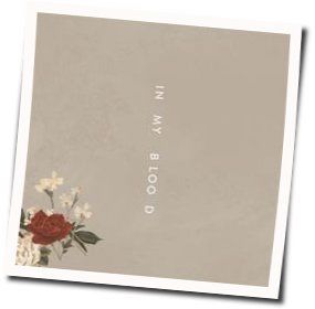In My Blood Acoustic by Shawn Mendes