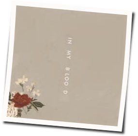 In My Blood  by Shawn Mendes
