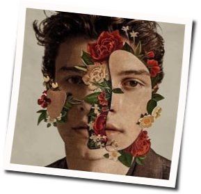 Like To Be You  Chords by Shawn Mendes