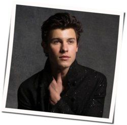 Never Be Alone  Tab by Shawn Mendes